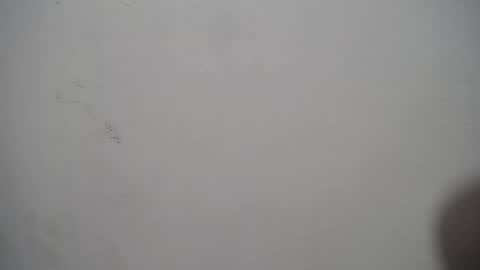 lina_clark_ online show from 10.15.25