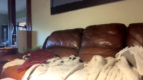 Snapshot of lincolnlongdick chatting on 12.06.24 Richie Rich online show from 12.06.24