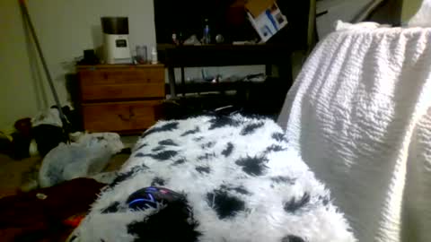 Snapshot of lincolnlongdick chatting on 12.30.24 Richie Rich online show from 12.30.24