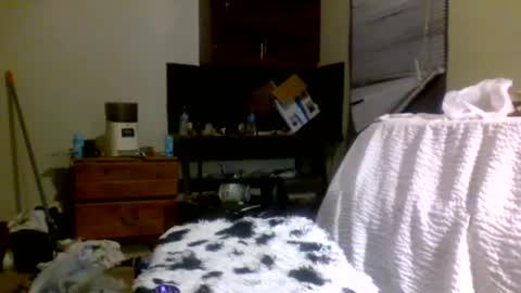 Snapshot of lincolnlongdick chatting on 12.30.24 Richie Rich online show from 12.30.24