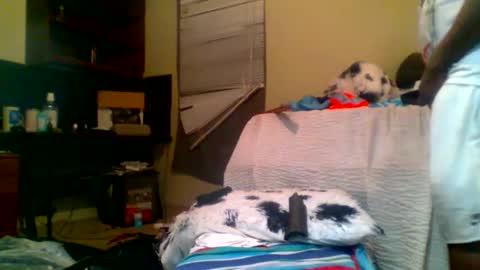 Snapshot of lincolnlongdick chatting on 01.05.25 Richie Rich online show from 01.05.25