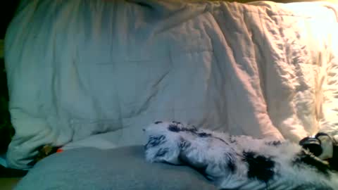 Snapshot of lincolnlongdick chatting on 01.13.25 Richie Rich online show from 01.13.25