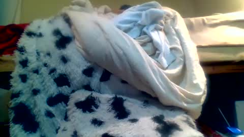 Snapshot of lincolnlongdick chatting on 01.15.25 Richie Rich online show from 01.15.25