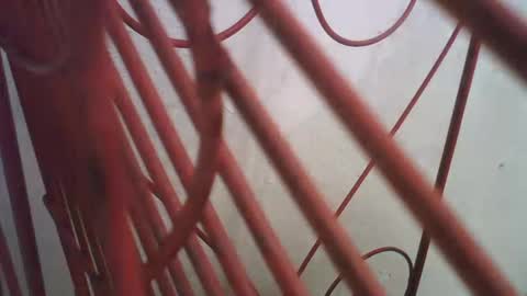 Snapshot of lincolnlongdick chatting on 10.11.25 Richie Rich online show from 10.11.25