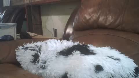 Richie Rich online show from 02.20.26