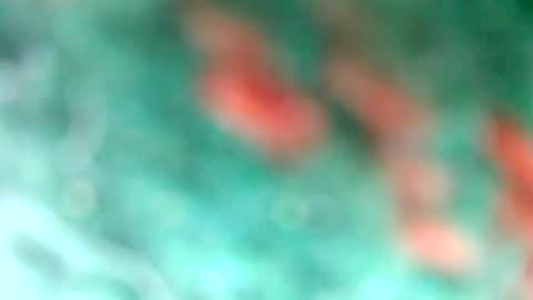 lionelearthquake online show from 03.11.25