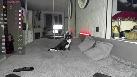 Lisa online show from 11.17.25