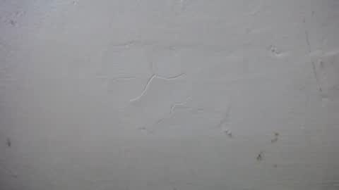 lisa_branch online show from 10.13.25