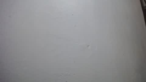 lisa_branch online show from 11.29.25