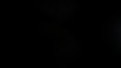 Lisa  online show from 11.23.25