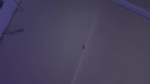 cristin online show from 12.25.24