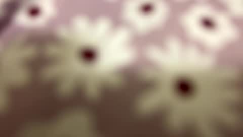 litos666 online show from 02.24.26