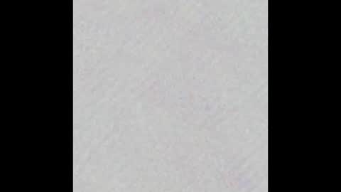 Snapshot of little_pearl_ chatting on 10.13.25 Adaline online show from 10.13.25