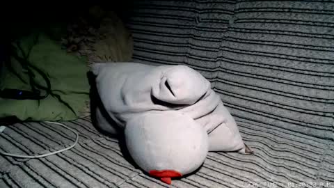 Malej Kmo online show from 02.17.26