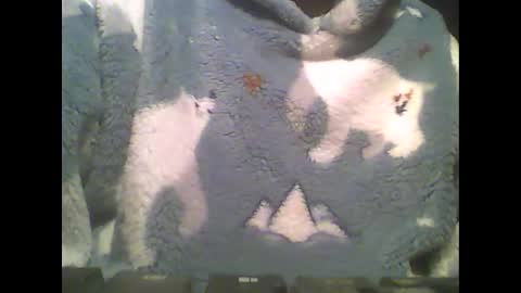LittlePaul online show from 02.14.25