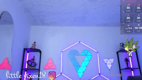 Snapshot of littlevixen18 chatting on 01.31.26 littlevixen18 online show from 01.31.26