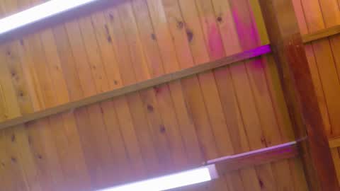  LIZBETH ROSS  online show from 01.09.26