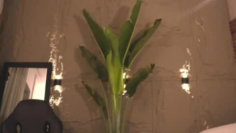 logan_varela online show from 03.01.25