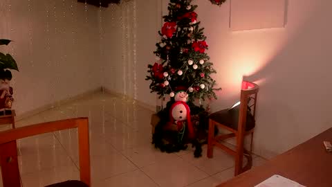 mara online show from 12.15.24