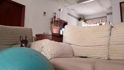 LOLA HUESO y ERIC online show from 10.17.25