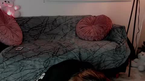 Lolly online show from 02.24.26