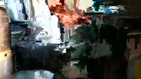 Pumabreizh online show from 02.02.25
