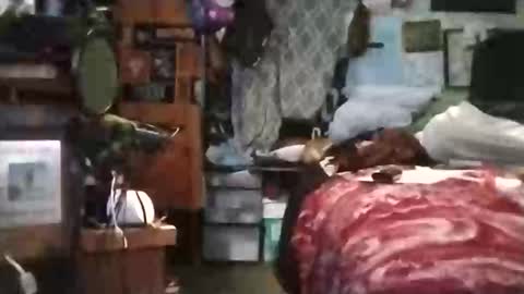 Mr. FogoDeChao online show from 03.06.26