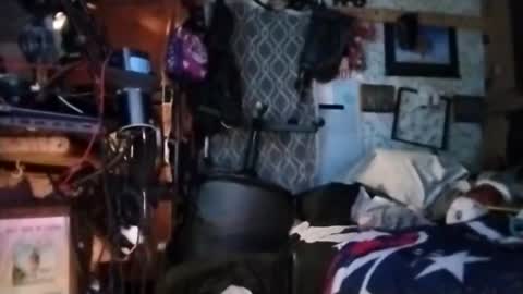 Mr. FogoDeChao online show from 03.11.26