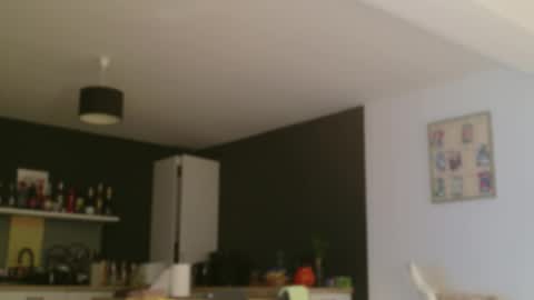 Amelia online show from 10.18.25