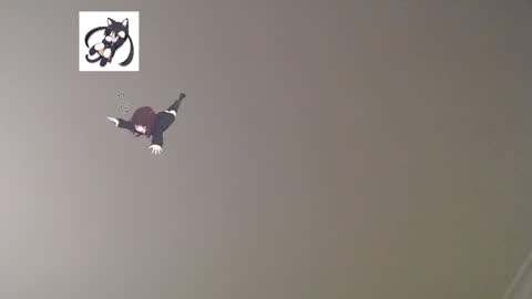 nefisa nef online show from 03.02.25