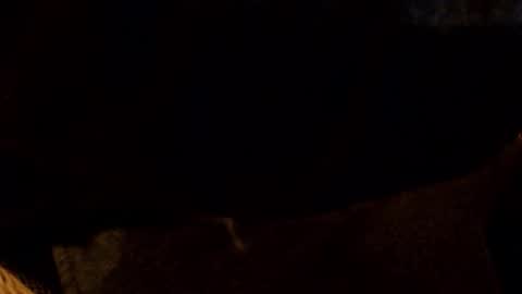 lostinspaxe online show from 11.28.25