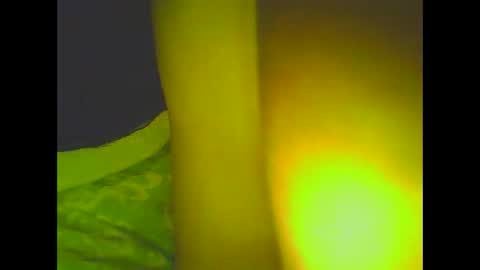 Snapshot of love5pu55y chatting on 03.06.25 PleasureX online show from 03.06.25