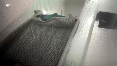 lovefeetonmyface29 online show from 09.22.25