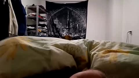 Snapshot of loveslick583698 chatting on 12.23.24 Lovetlick online show from 12.23.24