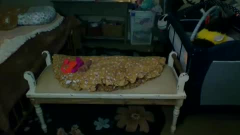 lovetubes101 online show from 09.19.25