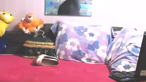 Anna online show from 10.31.25