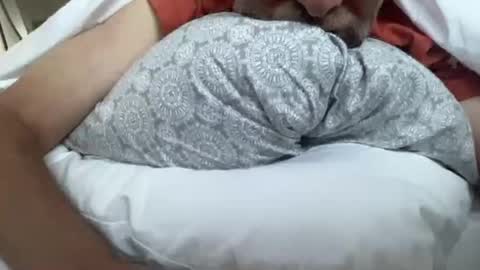 lqi online show from 09.16.25