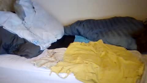 lu485947452685 online show from 12.19.25