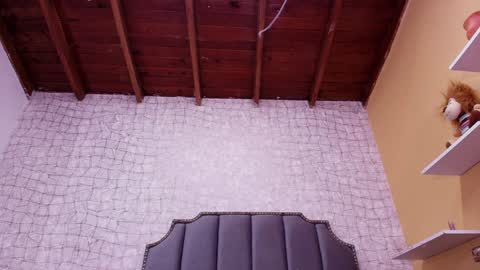 Lucero W online show from 01.28.25