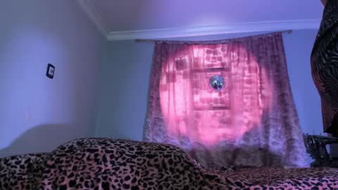 Luciana Evans online show from 11.19.25