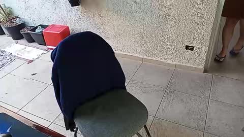 lucifer_curious online show from 10.24.25