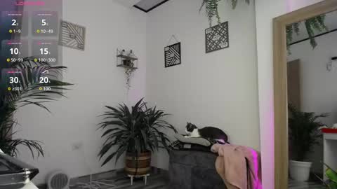 Snapshot of luciiana_lol chatting on 02.25.25 luciiana online show from 02.25.25