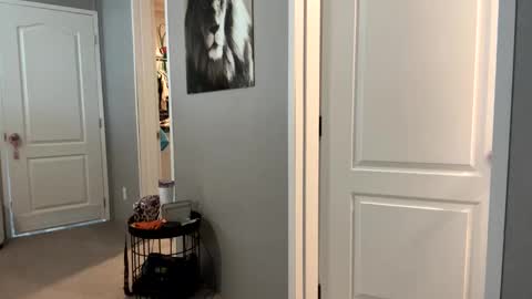 Snapshot of lucious_stace chatting on 09.22.25 lucious_stace online show from 09.22.25