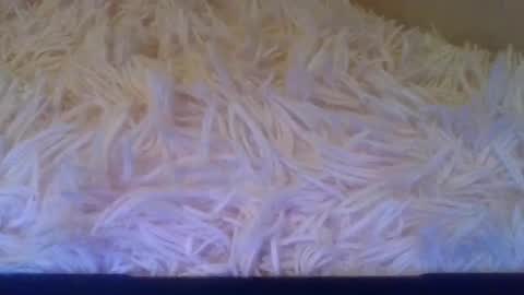 prettybaby1012 online show from 09.20.25