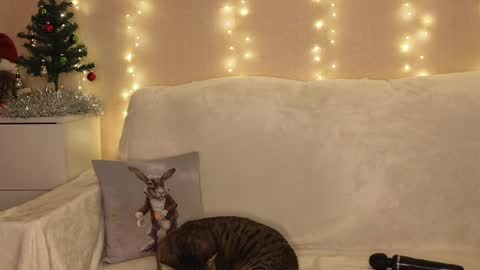 Snapshot of luckyday_ chatting on 12.25.24 Katerina online show from 12.25.24