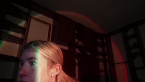 Snapshot of lucy_gooosey chatting on 12.14.24 Lucy. online show from 12.14.24