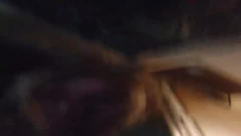 Lucy Vybes and Go-Gert online show from 03.04.25