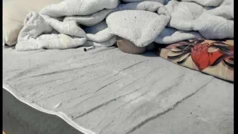 luffykun300 online show from 04.06.26