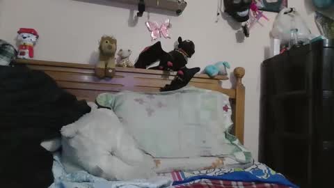 luismiastarot online show from 10.28.25