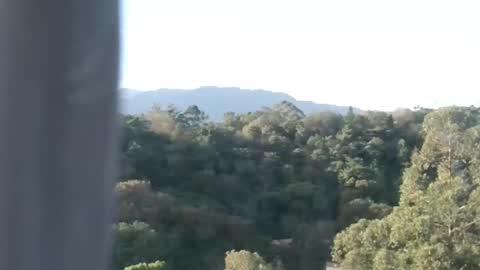 luke online show from 12.08.24